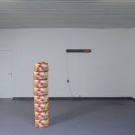 http://www.toshibahouse.com/in/files/gimgs/th-46_v20_6.jpg